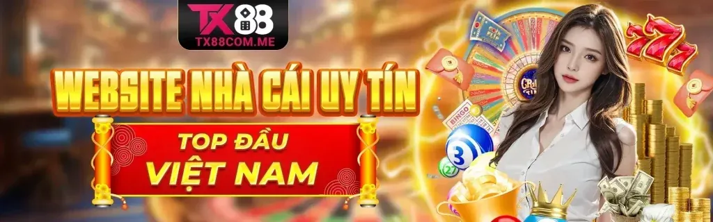 Hình ảnh tổng quan nền tảng C54 hiện đang mở